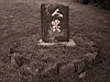 fetecoree055.JPG